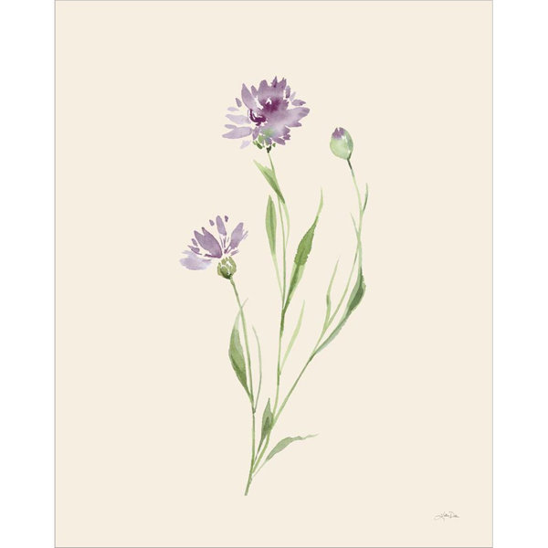 Winston Porter Wild Blooms II by Katrina Pete Wrapped Canvas Painting